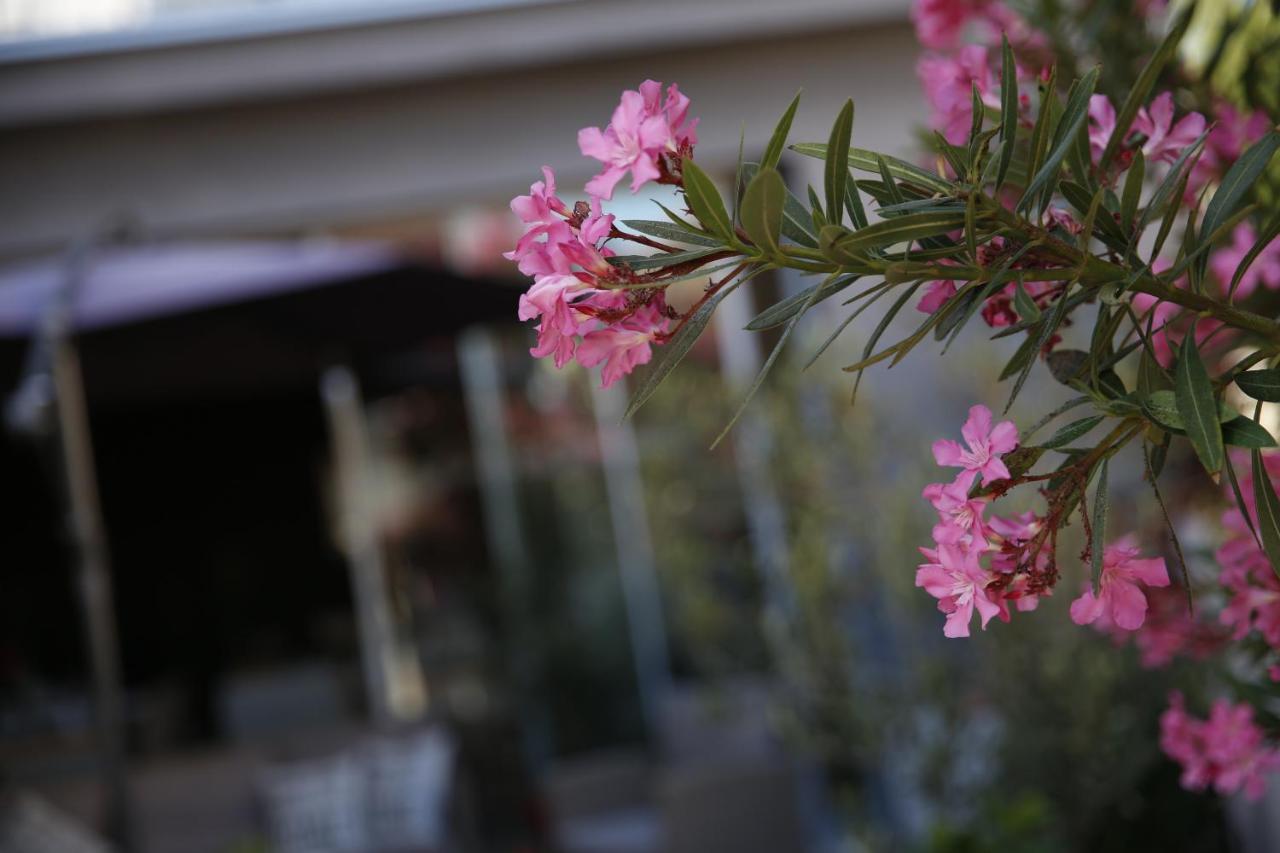 וודיצה Guest House Lorenta מראה חיצוני תמונה