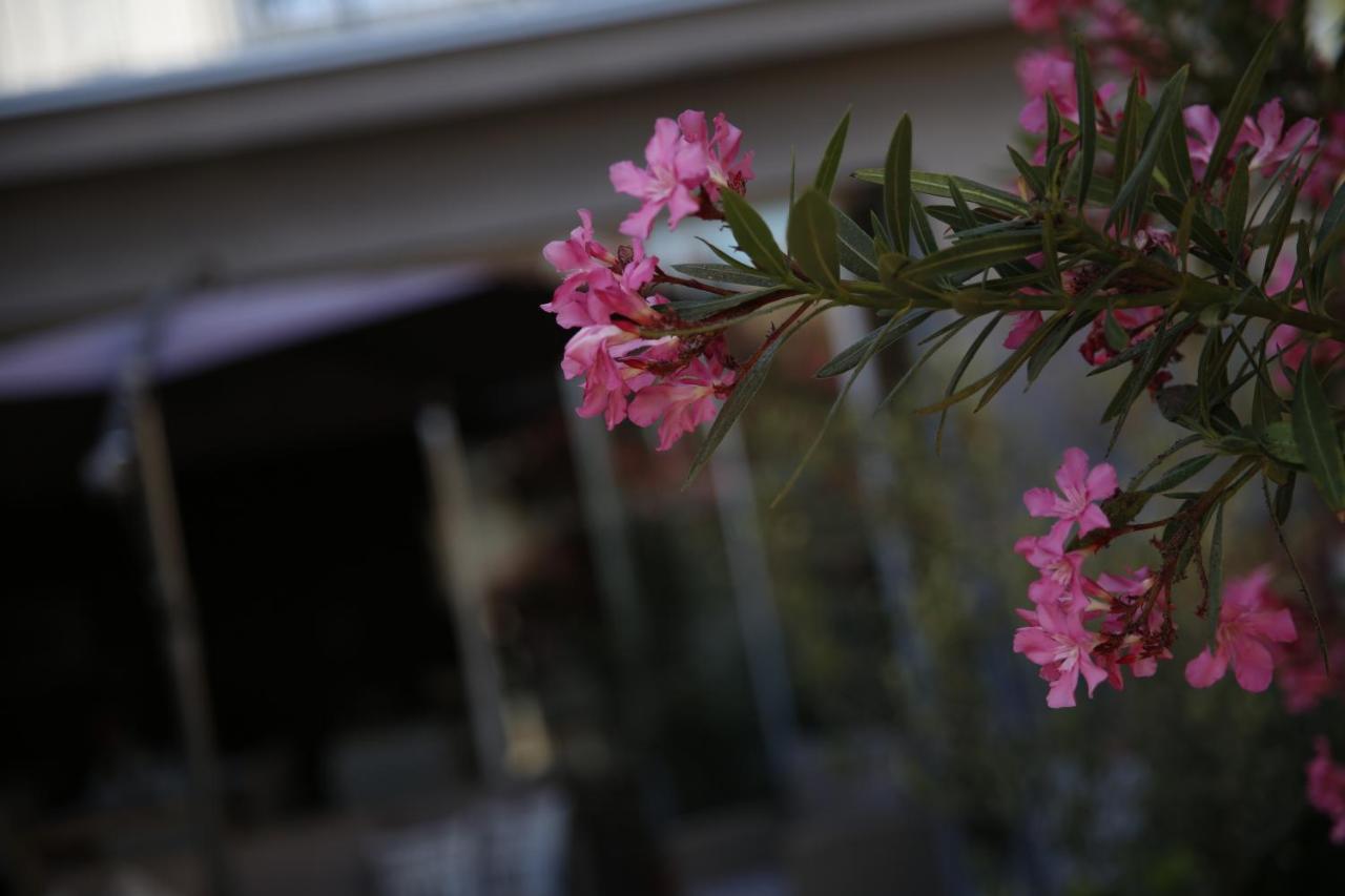 וודיצה Guest House Lorenta מראה חיצוני תמונה